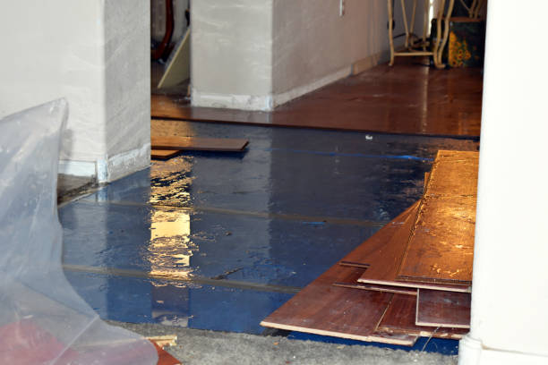 Professional Flood Damage Repair technician working in Goshen, OH
